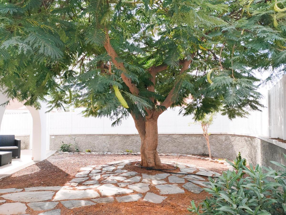 Pretty Terrace Holiday House In Maspalomas Playa del Inglés Esterno foto